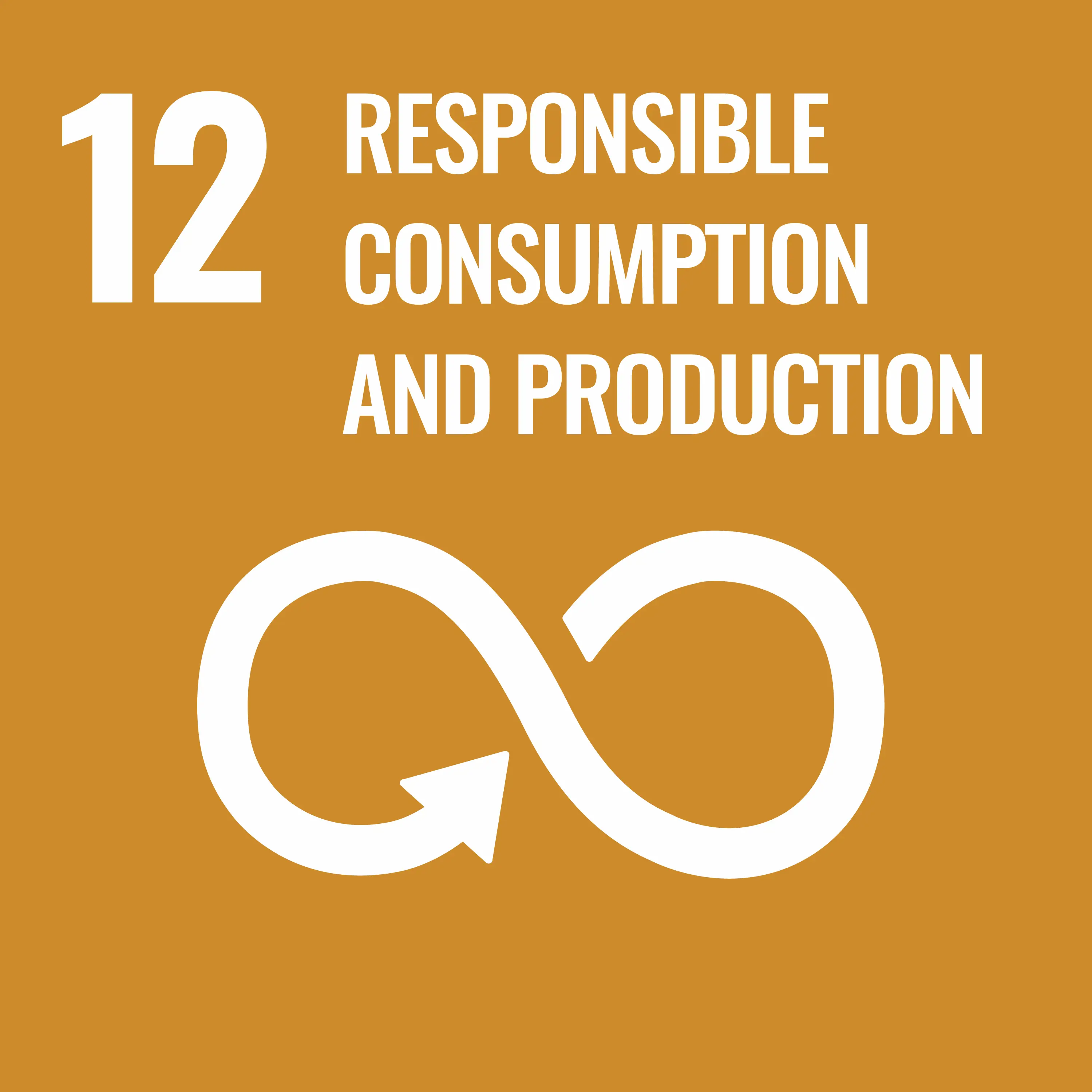 SDG E WEB Goal 12.png
